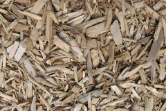 biomass boilers Quendon